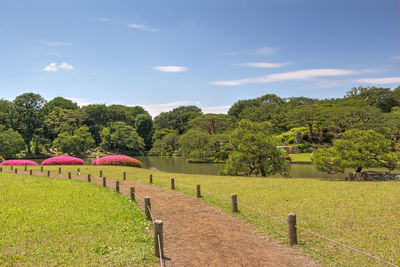 Scenic view of grassy field against sky