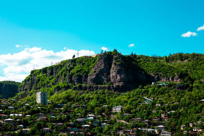 Plants and buildings against sky in city
