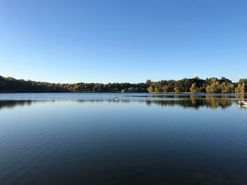 Scenic view of lake against clear blue sky