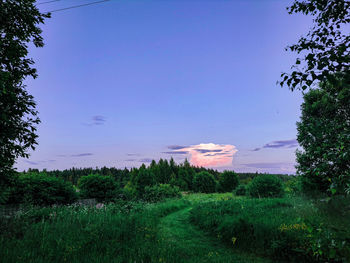 Scenic view of landscape against blue sky