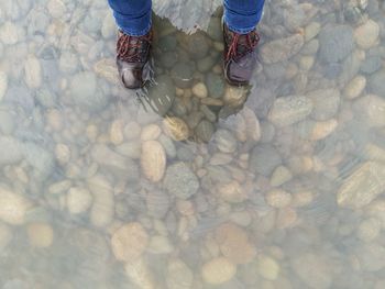 Low section of person standing on pebbles in lake