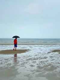 Rear view of person on beach against sky