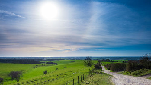 Scenic view of field against sky