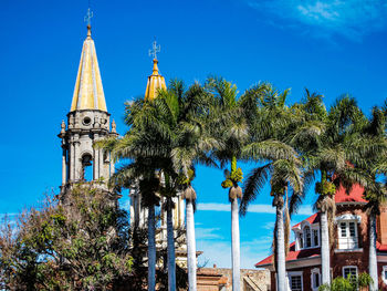 Low angle view of palm trees against blue sky