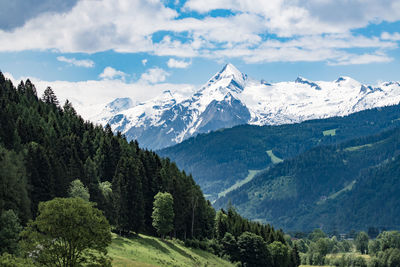 Scenic view of forest and mountains against cloudy sky