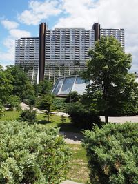 Trees in park with buildings in background