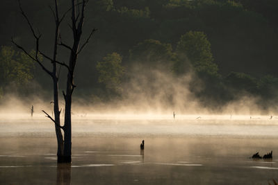 mist