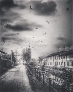 Bird flying over cloudy sky