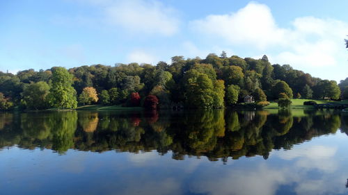 Reflection of trees in calm lake against blue sky