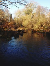 Scenic view of trees by river