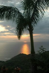 Scenic view of sea at sunset