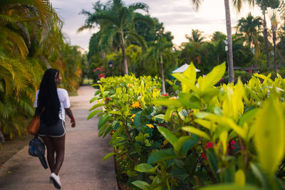 Rear view of woman walking on plants