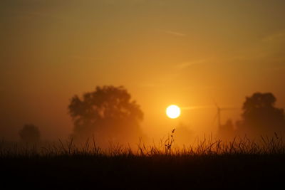 Silhouette plants on field against orange sky