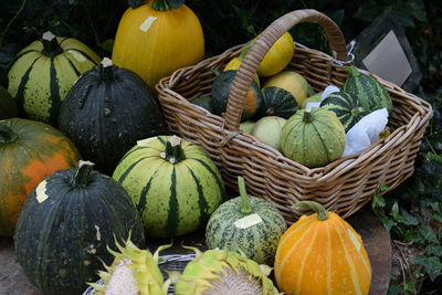High angle view of pumpkins in market