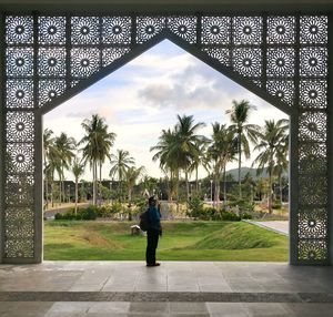 Rear view of man walking by palm trees