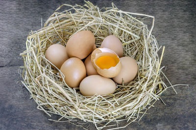 High angle view of eggs in container