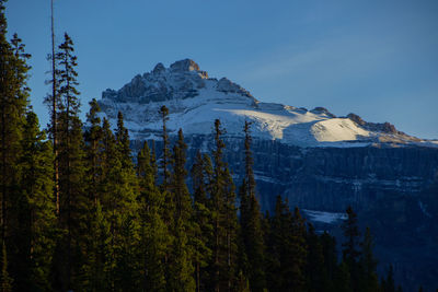 mountain