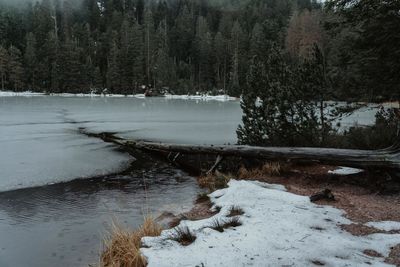 Frozen river by trees during winter