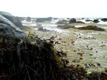 Rocks in sea