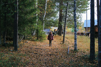 Rear view of man walking on road amidst trees in forest