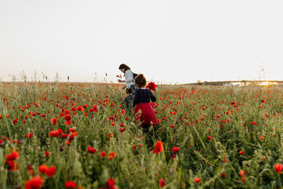 Mother with children picking poppies