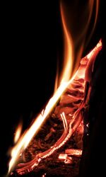 Close-up of illuminated bonfire at night