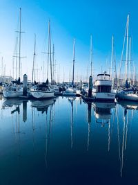 Sailboats moored in harbor
