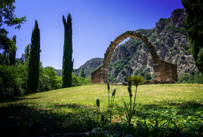 Trees and old arch on field against clear sky