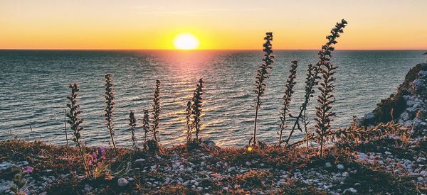 Scenic view of sea against sky during sunset