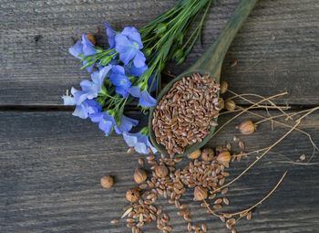 High angle view of flowering plant on table