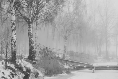 Snow covered road amidst trees during winter
