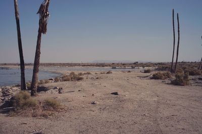 Scenic view of calm sea against clear sky