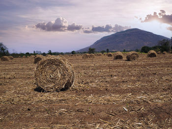 Hay bales on field against sky