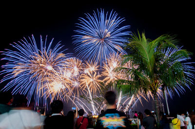 Low angle view of firework display at night