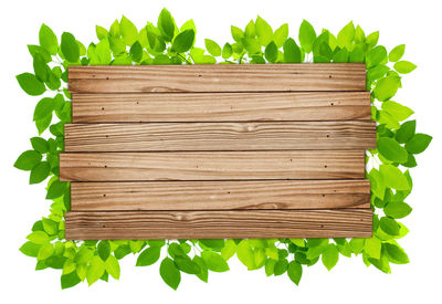 Directly above shot of fresh green leaves on wooden floor