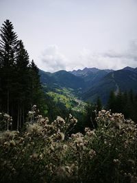 Scenic view of mountains against sky