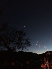 Low angle view of illuminated trees against clear sky at night