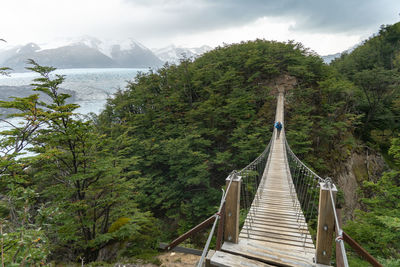 Footbridge amidst trees and plants against sky