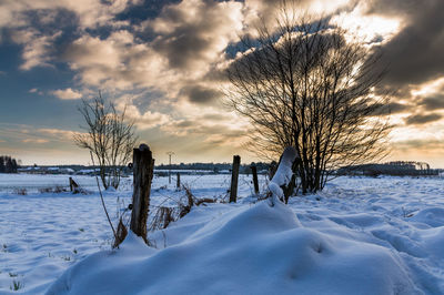 Bare trees on snow field against sky during winter