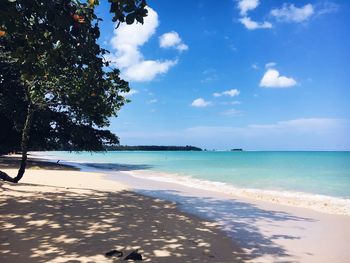 Scenic view of beach against blue sky