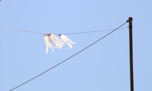 Low angle view of decoration hanging on cable against blue sky