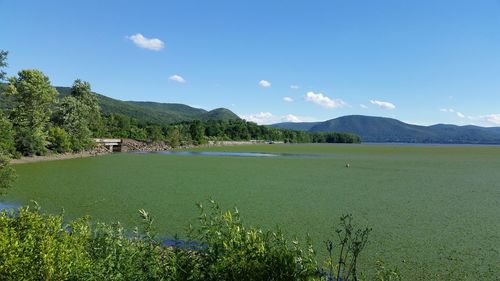 Scenic view of landscape against blue sky