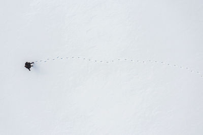 A woman walks through fresh snow leaving footprints, top aerial view,  background with copy space