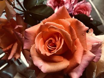 Close-up of rose bouquet