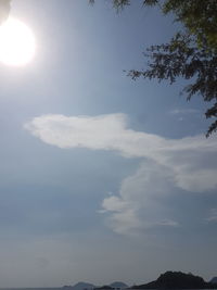 Low angle view of silhouette trees against sky on sunny day