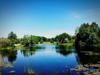 Scenic view of lake in forest against blue sky