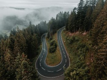 Road amidst trees in forest