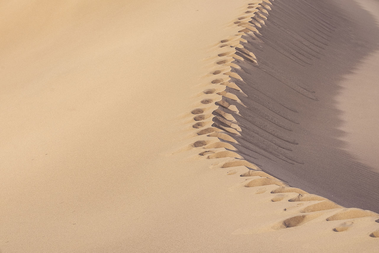 HIGH ANGLE VIEW OF SAND DUNES ON BEACH