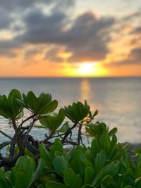 Scenic view of sea against sky during sunset