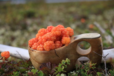 Close-up of strawberries